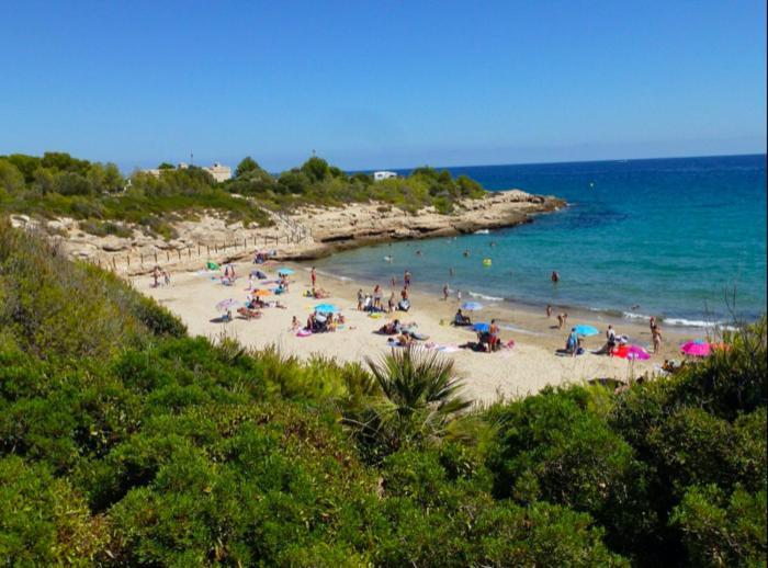 Estudio I Ideal Para Parejas En La Playa Alguer Л'Амеля-да-Мар Екстер'єр фото